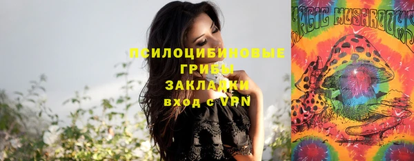 винт Магадан