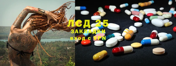сатива Абинск