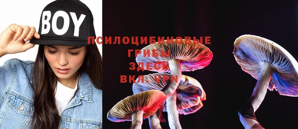 ПСИЛОЦИБИНОВЫЕ ГРИБЫ Абдулино