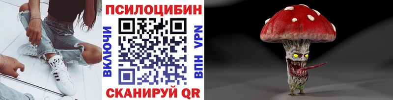 kraken зеркало  Рыльск  Псилоцибиновые грибы мухоморы 